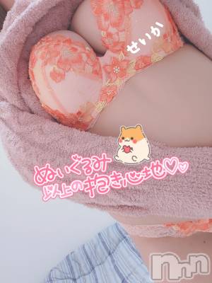 新潟デリヘル 奥様特急 新潟店(オクサマトッキュウニイガタテン) せいか(32)の10月11日写メブログ「夜も☆」