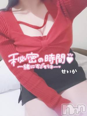 新潟デリヘル 奥様特急 新潟店(オクサマトッキュウニイガタテン) せいか(32)の2月23日写メブログ「出勤☆」