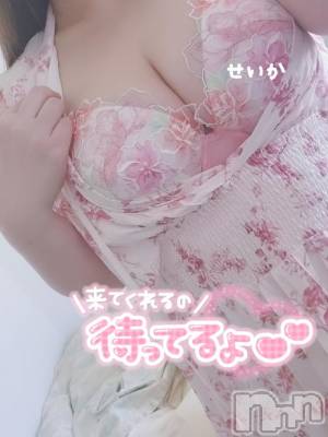 新潟デリヘル 奥様特急 新潟店(オクサマトッキュウニイガタテン) せいか(32)の6月20日写メブログ「おはよう☆」
