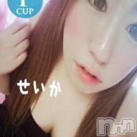 せいか