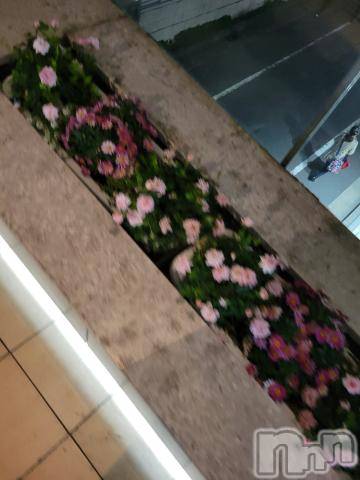 新潟デリヘル奥様特急 新潟店(オクサマトッキュウニイガタテン) ゆかり(29)の4月29日写メブログ「ありがとう」