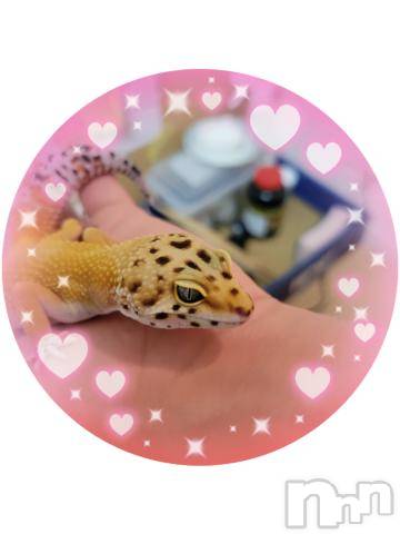 新潟デリヘル奥様特急 新潟店(オクサマトッキュウニイガタテン)ゆかり(29)の2022年5月29日写メブログ「ありがとう」
