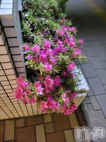 新潟デリヘル奥様特急 新潟店(オクサマトッキュウニイガタテン)ゆかり(29)の2022年6月1日写メブログ「ありがとう」