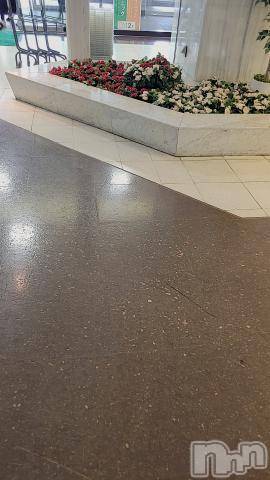 新潟デリヘル奥様特急 新潟店(オクサマトッキュウニイガタテン)ゆかり(29)の2024年2月25日写メブログ「12時から」