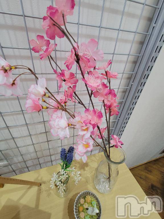 新潟デリヘル奥様特急 新潟店(オクサマトッキュウニイガタテン)ゆかり(29)の2025年4月1日写メブログ「新年度」