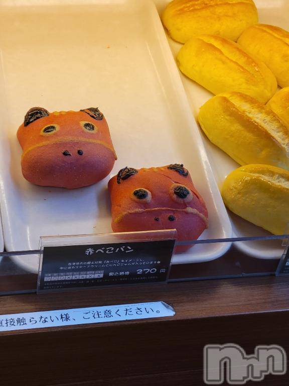 新潟デリヘル奥様特急 新潟店(オクサマトッキュウニイガタテン)ゆかり(29)の2025年11月3日写メブログ「今日も」