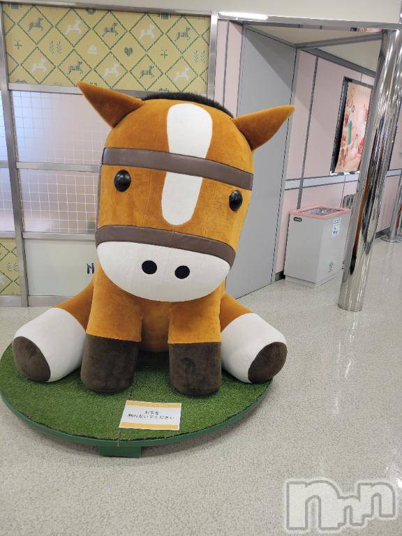 新潟デリヘル奥様特急 新潟店(オクサマトッキュウニイガタテン)ゆかり(29)の2026年2月22日写メブログ「準備」