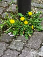 新潟デリヘル奥様特急 新潟店(オクサマトッキュウニイガタテン) ゆかり(29)の4月27日写メブログ「おはようございます」