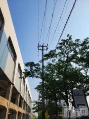 新潟デリヘル奥様特急 新潟店(オクサマトッキュウニイガタテン) ゆかり(29)の5月22日写メブログ「ありがとう」