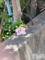 新潟デリヘル奥様特急 新潟店(オクサマトッキュウニイガタテン) ゆかり(29)の5月26日写メブログ「ありがとう」