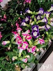 新潟デリヘル奥様特急 新潟店(オクサマトッキュウニイガタテン) ゆかり(29)の6月18日写メブログ「ありがとう」