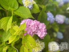 新潟デリヘル奥様特急 新潟店(オクサマトッキュウニイガタテン) ゆかり(29)の6月24日写メブログ「おはようございます」