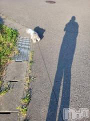 新潟デリヘル奥様特急 新潟店(オクサマトッキュウニイガタテン) ゆかり(29)の6月26日写メブログ「気晴らしに」