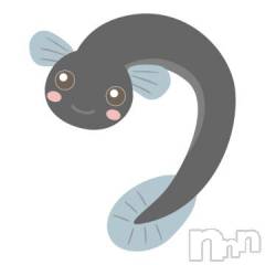 新潟デリヘル奥様特急 新潟店(オクサマトッキュウニイガタテン) ゆかり(29)の7月23日写メブログ「おはようございます」