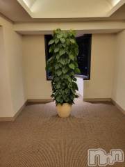 新潟デリヘル奥様特急 新潟店(オクサマトッキュウニイガタテン) ゆかり(29)の9月5日写メブログ「ありがとう」