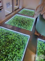 新潟デリヘル奥様特急 新潟店(オクサマトッキュウニイガタテン) ゆかり(29)の11月26日写メブログ「ブランネージュ207号室のお兄さま」