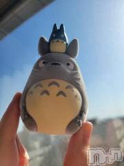 新潟デリヘル奥様特急 新潟店(オクサマトッキュウニイガタテン) ゆかり(29)の5月4日写メブログ「12時から」