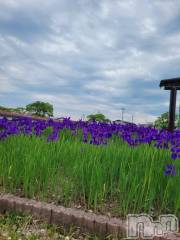 新潟デリヘル奥様特急 新潟店(オクサマトッキュウニイガタテン) ゆかり(29)の5月18日写メブログ「おはようございます」