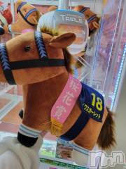 新潟デリヘル奥様特急 新潟店(オクサマトッキュウニイガタテン) ゆかり(29)の10月29日写メブログ「12時から」