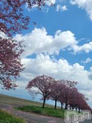 新潟デリヘル奥様特急 新潟店(オクサマトッキュウニイガタテン) ゆかり(29)の3月25日写メブログ「待機中(ง•ω•)ว♪」