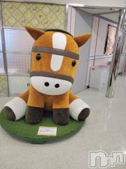 新潟デリヘル奥様特急 新潟店(オクサマトッキュウニイガタテン) ゆかり(29)の2月22日写メブログ「準備」