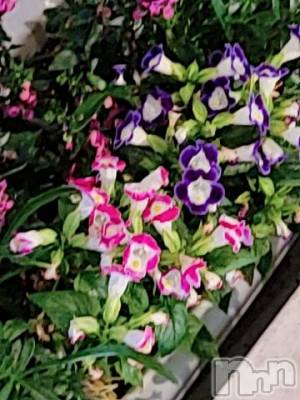 新潟デリヘル 奥様特急 新潟店(オクサマトッキュウニイガタテン) ゆかり(29)の6月18日写メブログ「ありがとう」