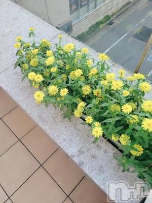 新潟デリヘル 奥様特急 新潟店(オクサマトッキュウニイガタテン) ゆかり(29)の7月29日写メブログ「準備完了」
