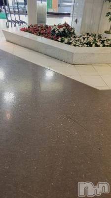 新潟デリヘル 奥様特急 新潟店(オクサマトッキュウニイガタテン) ゆかり(29)の2月25日写メブログ「12時から」