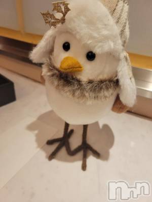 新潟デリヘル 奥様特急 新潟店(オクサマトッキュウニイガタテン) ゆかり(29)の1月18日写メブログ「おはようございます」
