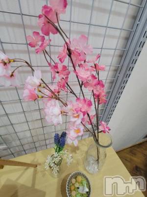 新潟デリヘル 奥様特急 新潟店(オクサマトッキュウニイガタテン) ゆかり(29)の4月1日写メブログ「新年度」