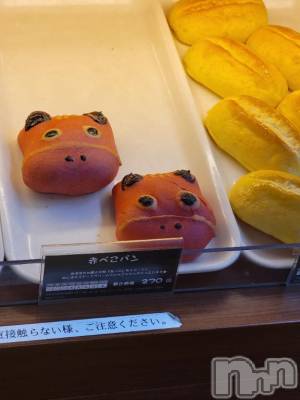 新潟デリヘル 奥様特急 新潟店(オクサマトッキュウニイガタテン) ゆかり(29)の11月3日写メブログ「今日も」