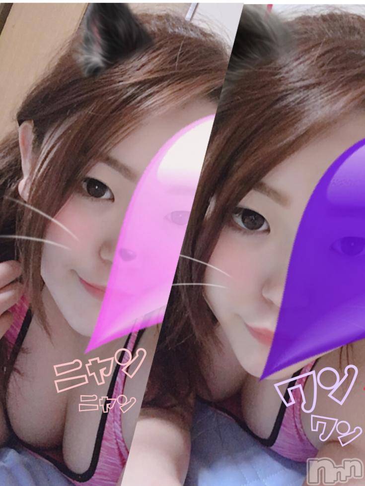 松本発ぽっちゃり癒し姫(イヤシヒメ) 20代☆しずく姫(23)の9月17日写メブログ「♡ネコちゃん派？？ワンちゃん派？♡」