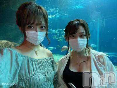 Х顦Diletto(ǥå) Ҥ78ֽ̥֥ͤܳ🐟