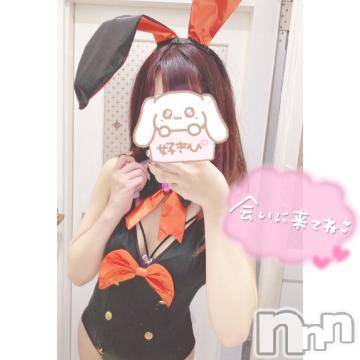 長岡デリヘル(ナガオカシソウゴウデリヘルカラー)の2021年4月15日お店速報「本日これからスグのご案内可能です」