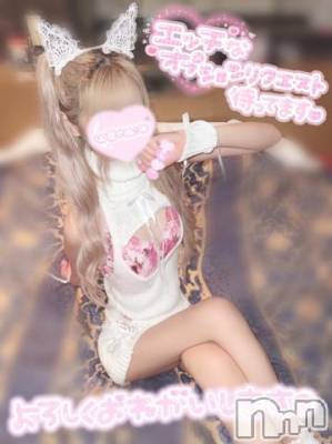長岡デリヘル(ナガオカシソウゴウデリヘルカラー)の2022年10月29日お店速報「🆕緊急速報！！注目美女勢揃い💕℡お早めに！！」