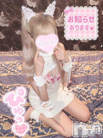 長岡デリヘル(ナガオカシソウゴウデリヘルカラー)の2023年1月12日お店速報「これからすぐお伺い可能！本日可愛い子多数出勤中」