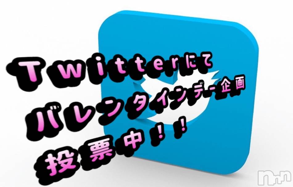 長岡デリヘル(ナガオカシソウゴウデリヘルカラー)の2023年2月9日お店速報「Twitterからの投票宜しくお願いします！」
