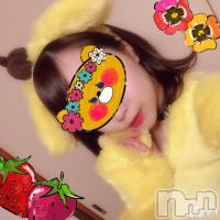 長岡デリヘル 長岡市総合デリヘル COLOR～デリヘル・手コキ・密着エステ～(ナガオカシソウゴウデリヘルカラー)の5月14日お店速報「誰もが憧れる大人の保健体育」