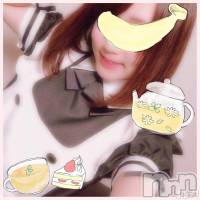 長岡デリヘル 長岡市総合デリヘル COLOR～デリヘル・手コキ・密着エステ～(ナガオカシソウゴウデリヘルカラー)の6月1日お店速報「本日の出勤、総勢８名！！」