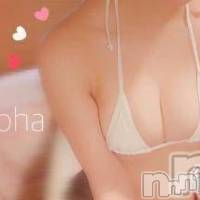 長岡デリヘル 長岡市総合デリヘル COLOR～デリヘル・手コキ・密着エステ～(ナガオカシソウゴウデリヘルカラー)の1月30日お店速報「ハイブリッドコースが良くわからない方今一度ご覧下さい！」