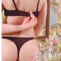 長岡デリヘル 長岡市総合デリヘル COLOR～デリヘル・手コキ・密着エステ～(ナガオカシソウゴウデリヘルカラー)の2月3日お店速報「可愛い子とお手軽価格で♡スグご案内可能☆彡」