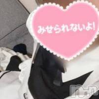 長岡デリヘル 長岡市総合デリヘル COLOR～デリヘル・手コキ・密着エステ～(ナガオカシソウゴウデリヘルカラー)の12月11日お店速報「本日は多くの女の子がお待ちしています✨💁‍♀️」