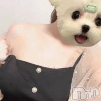 長岡デリヘル 長岡市総合デリヘル COLOR～デリヘル・手コキ・密着エステ～(ナガオカシソウゴウデリヘルカラー)の12月25日お店速報「クリスマス🎅COLORの女の子が待ってますよ☎」