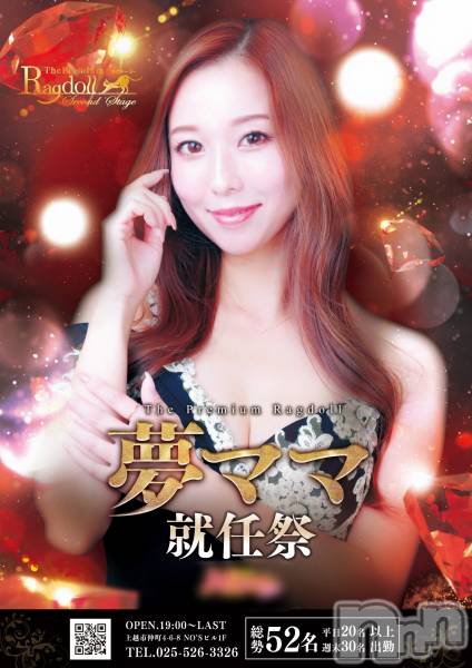 ĥХ顦PremiumRagdoll(ץߥ 饰ɡ)  2022ǯ101̥֥֥֥饰ɡ15ǯפ̴ޥ޽Ǥˤ