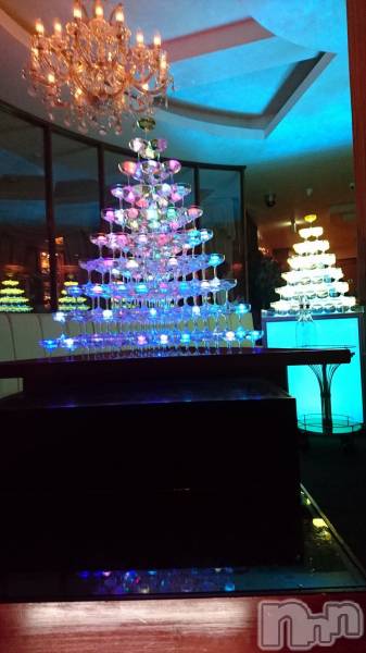 ���ĥ���Х��顦�����Premium��Ragdoll(�ץ�ߥ��� �饰�ɡ���) �� 2026ǯ3��1���̥�֥����֣���ΥС����ǡ���������Τ��Τ餻�Ǥ�����