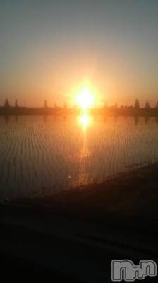 長岡デリヘル ばななフレンド(バナナフレンド) かすみ(24)の6月1日写メブログ「夕日(^-^)」