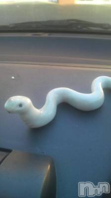 長岡デリヘル ばななフレンド(バナナフレンド) かすみ(24)の6月26日写メブログ「キモい(@_@)」