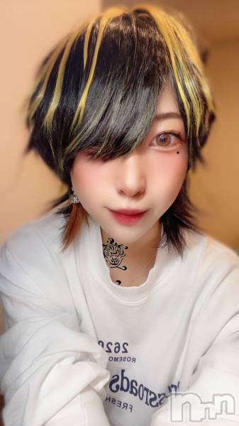 ӥʥȥʥ 饤(˥ʥȥʥӥ饤󥢥ʥ)  2021ǯ1018̥֥Ѥ😍