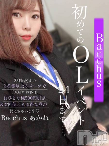 ӥʥȥʥ 饤(˥ʥȥʥӥ饤󥢥ʥ)  2022ǯ419̥֥OLȰ߲💖