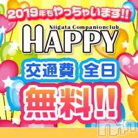 ȯѥ˥󥯥ֿ㥳ѥ˥󥯥 HAPPY(˥ѥ˥󥯥 ϥåԡ)  2019ǯ320̵ָ̥֥Ǥ